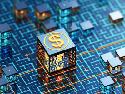 Haruskah Investor Khawatir Tentang Crash Harga Mata Uang Kripto Lagi?