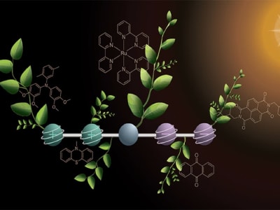 Molekul Baru Simpan Empat Muatan Cahaya Dorong Bahan Bakar Ramah Lingkungan