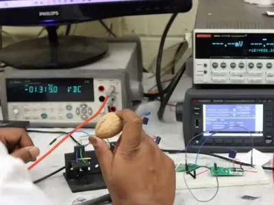 Energi Bersih dari Cangkang Walnut: Solusi Murah dan Ramah Lingkungan