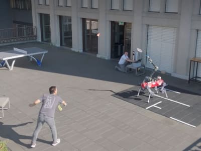 Robot Anjing ANYmal dari Swiss Bisa Bermain Badminton Seperti Anak 7 Tahun