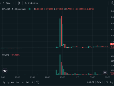 Pasar Futures Token XPL Plasma di Hyperliquid Alami Volatilitas dan Likuidasi Besar