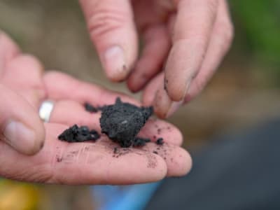 Terraton Percepat Pengembangan Biochar dengan Model Waralaba Business-in-a-Box