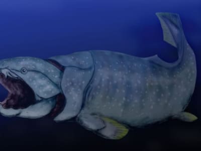 Peningkatan Oksigen Laut Dalam Pemicu Evolusi Vertebrata Awal di Devon Tengah