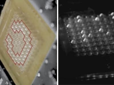 Teknologi Layar Braille Tahan Air Multi-Baris Bantu Tunanetra Akses Informasi