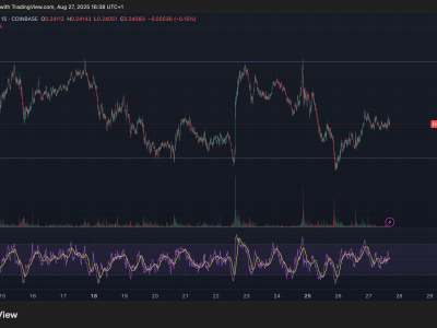 Pergerakan Harga XLM Tetap Stabil dengan Aktivitas Institusional Meningkat