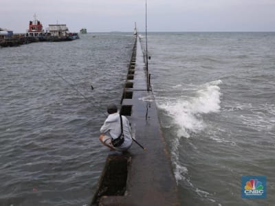 Mengungkap Rahasia Garis Wallace: Perbedaan Spesies Antara Indonesia dan Australia