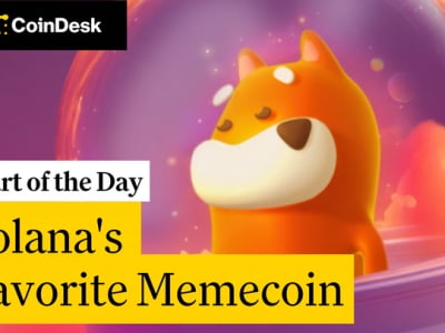 BONK Naik 4%: Kepercayaan Institusional Perkuat Ekosistem Solana