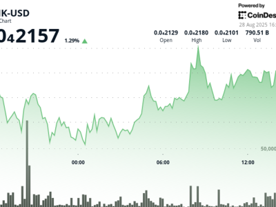 BONK Token Naik 4%, Dapat Investasi Miliaran dari Institusi Besar Solana