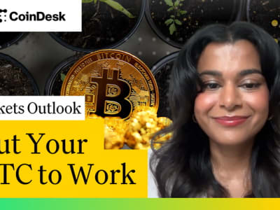 Mengaktifkan Likuiditas Bitcoin: DeFi dan Produk Imbal Hasil dari Botanix