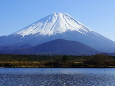 Simulasi AI Letusan Gunung Fuji: Persiapan Warga Tokyo Hadapi Bencana
