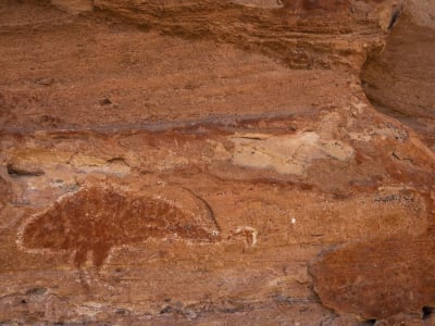 Kapan Manusia Pertama Kali Mendarat di Australia? Temuan Baru Jadi Kunci