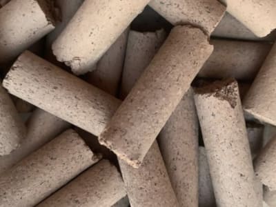 Inovasi Mengubah Limbah Alga menjadi Material Bangunan Ramah Lingkungan