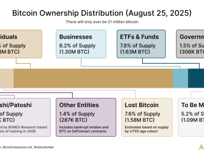 Individu Masih Kuasai Mayoritas Bitcoin, Tapi Institusi Makin Tumbuh