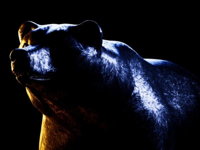 3 Hambatan Besar Menghambat Pergerakan Bitcoin dan Cryptocurrency Lainnya