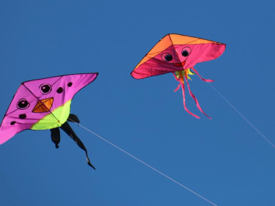 Kite Raih Dana Rp 296.01 miliar ($18 Juta)  untuk Kembangkan Transaksi AI dengan Stablecoin