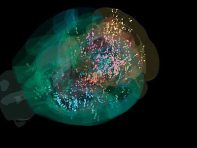 Pemetaan Otak Tikus Ungkap Rahasia Pengambilan Keputusan di Seluruh Otak