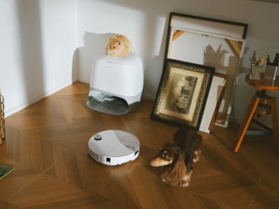 Roborock Qrevo Curv 2 Pro Hadir dengan Daya Isap 25.000 Pa dan Fitur AI Canggih