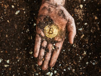 Mengapa Bitcoin Bisa Jadi Emas Digital Dalam Portofolio Investasi Anda