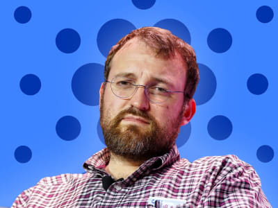 Konflik Panas di Komunitas Cardano: Founder Hoskinson Tuntut Permintaan Maaf Atas Tuduhan 600 Juta Dolar