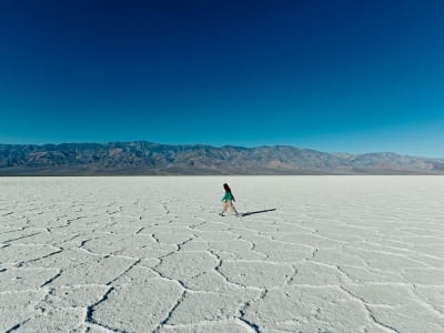 All Aboard Bantu Startup Teknologi Iklim Lewati Kesenjangan Pendanaan Besar