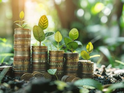 Elysian Kumpulkan Dana Rp 98.67 miliar ($6 Juta)  untuk Percepat Inovasi Klaim Asuransi Berbasis AI