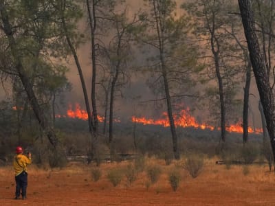 Kebakaran Hutan dan Perubahan Iklim Picu Polusi Udara Tinggi dan Risiko Kesehatan