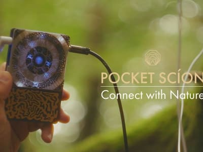 Pocket Scion: Alat Musik Biofeedback Terjangkau Bikin Suara dari Jamur dan Organisme Hidup
