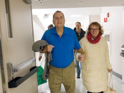 Ginjal Babi Genetik Bertahan 6 Bulan dalam Tubuh Manusia: Terobosan Baru Transplantasi