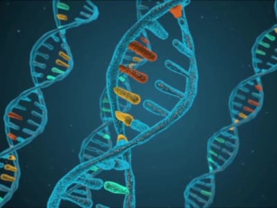 MGI Tech Luncurkan Mesin Pengurut Genom Tercepat Dunia di Shenzhen