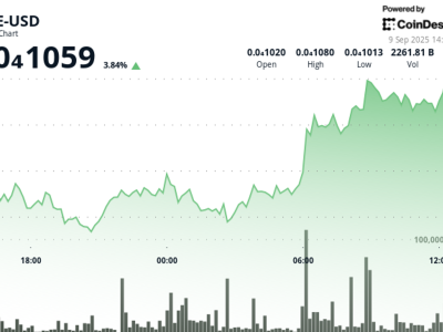 PEPE Token Naik Tajam Didukung Minat Besar pada Memecoin