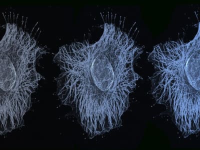 Penemuan Baru: Sel Mengunci Gen dalam Berbagai Tingkat Ekspresi, Bukan Hanya On/Off