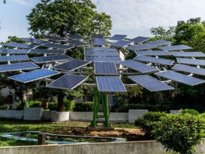 Solar Trees: Inovasi Hemat Lahan untuk Listrik Terbarukan dan Pelestarian Hutan