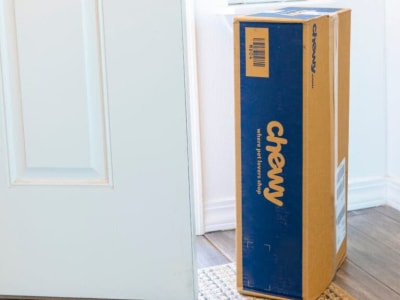 Chewy Catat Kenaikan Penjualan dan Pendapatan Kuartal Kedua 2025, Angka Lebih Baik Dari Ekspektasi