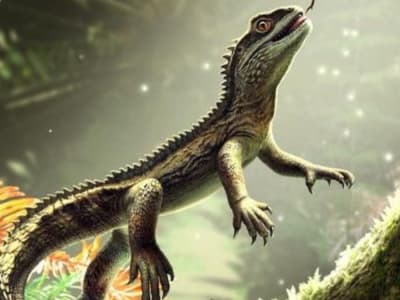 Fosil Kadalu Tertua dari Inggris Ubah Pandangan Evolusi Reptil