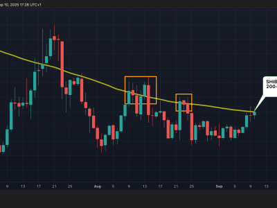 Shiba Inu Berusaha Kuatkan Tren Bullish, DOGE Capai Kepemilikan Whale Tertinggi