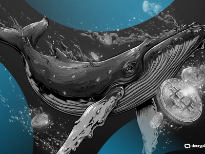 Whale Bitcoin Lama Bangkit, Gerakkan Rp230 Miliar BTC Setelah 13 Tahun