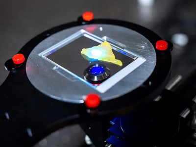 Teknologi Baru Memperlihatkan Perubahan Protein Tersembunyi di Sel Hidup Penyakit Alzheimer