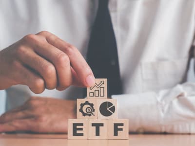 Investasi Mudah dengan 2 ETF Vanguard untuk Pemula yang Ingin Dividen dan Diversifikasi
