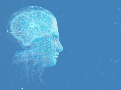 Momentum Investasi Robotika Meningkat Setelah Dekade Pembelajaran dan Kemajuan