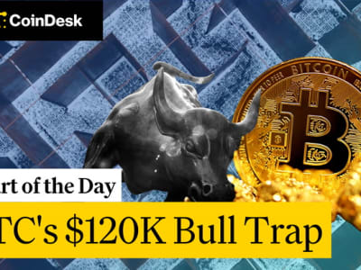 Waspada! Bitcoin Bisa Terjebak Bullish Besar di Level 115.000 US Dollar