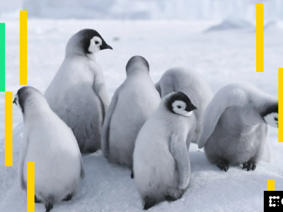 Bitcoin dan Token Kecil Naik Saat Pasar Tunggu Pemangkasan Suku Bunga The Fed