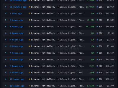 Solana Melonjak Tajam Dipicu Permintaan Treasury dan Antisipasi ETF