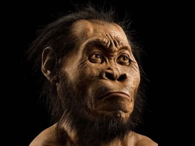 Bukti Baru: Homo Naledi Mungkin Telah Melakukan Penguburan 300 Ribu Tahun Lalu
