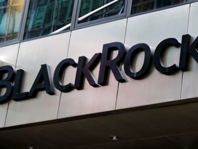 BlackRock Siap Investasi 500 Juta Pound Infrastruktur Pusat Data Inggris