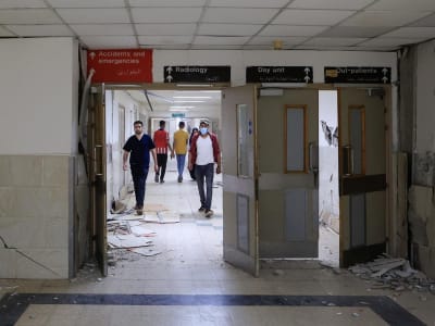 Jamur Mematikan C. auris Menyebar Cepat, Ancaman Serius di Rumah Sakit Eropa