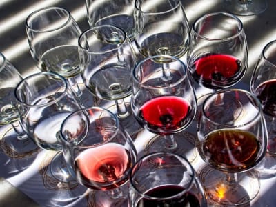 Pesta Terbesar Akhir Zaman Perunggu Ungkap Jejak Sosial dan Ekonomi Prasejarah Inggris