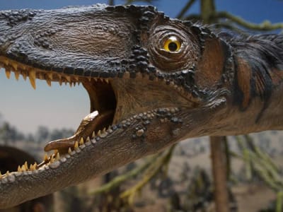 Dinosaur Choir: Mengungkap Suara Asli Dinosaurus Lewat Teknologi 3D
