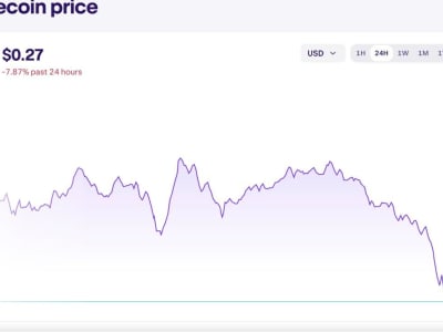 Reli Dogecoin Tiba, Didorong ETF dan Minat Institusional, Bukan Elon Musk