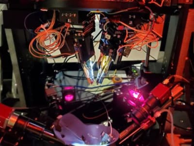 Bagaimana Otak Kita Menciptakan Ilusi Visual Melalui Neuron Khusus