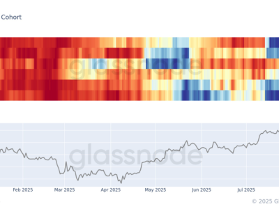 Semua Kelompok Dompet Bitcoin Kembali Jual Setelah Rally, Pasar Konsolidasi